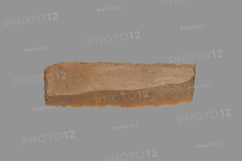 Sickle Blade, 1980-1801 BC. Egypt, Middle Kingdom, Dynasty 12. Flint; overall: 5 cm (1 15/16 in.).