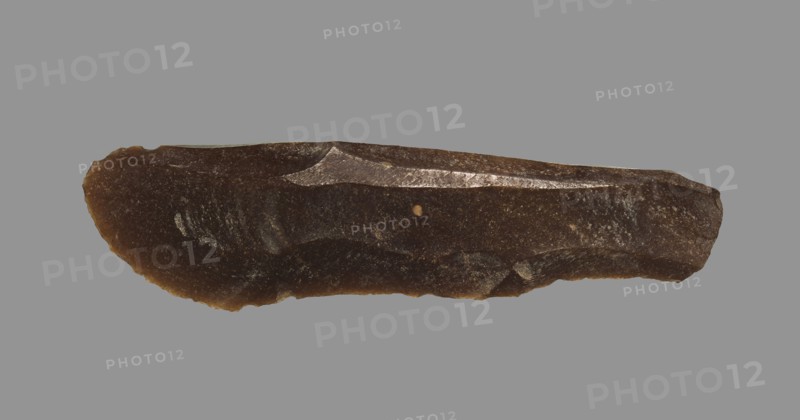 Sickle Blade, 1980-1801 BC. Egypt, Middle Kingdom, Dynasty 12. Flint; overall: 5 cm (1 15/16 in.).