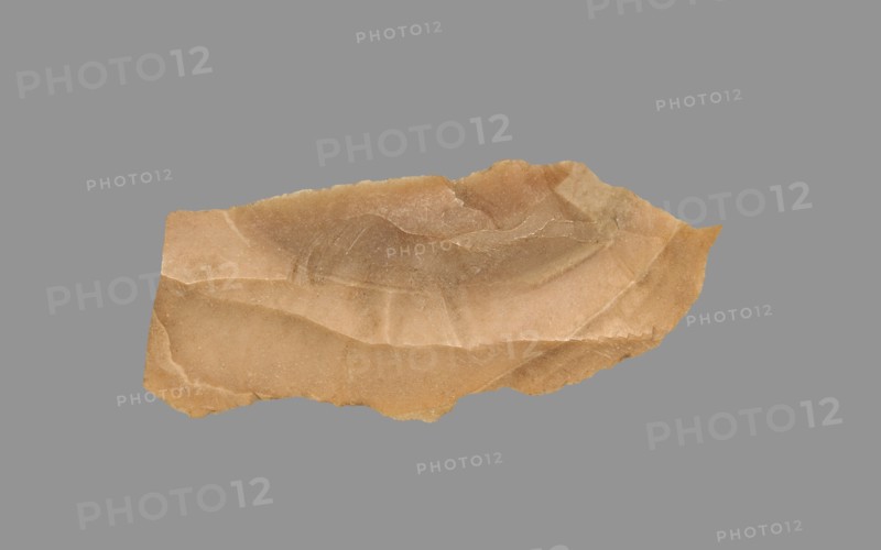 Sickle Blade, 1980-1801 BC. Egypt, Middle Kingdom, Dynasty 12. Flint; overall: 5 cm (1 15/16 in.).