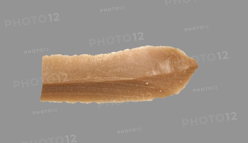 Sickle Blade, 1980-1801 BC. Egypt, Middle Kingdom, Dynasty 12. Flint; overall: 5 cm (1 15/16 in.).