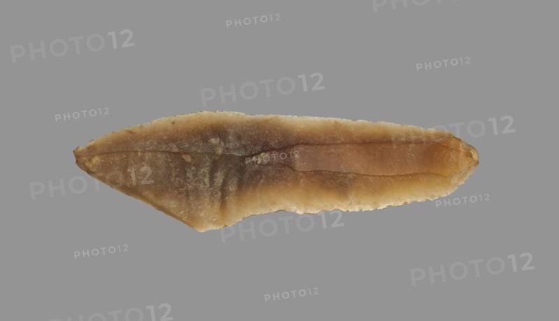 Sickle Blade, 1980-1801 BC. Egypt, Middle Kingdom, Dynasty 12. Flint; overall: 5 cm (1 15/16 in.).