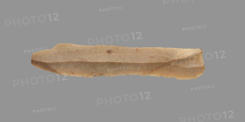 Sickle Blade, 1980-1801 BC. Egypt, Middle Kingdom, Dynasty 12. Flint; overall: 5 cm (1 15/16 in.).
