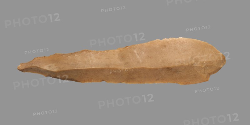 Sickle Blade, 1980-1801 BC. Egypt, Middle Kingdom, Dynasty 12. Flint; overall: 5 cm (1 15/16 in.).