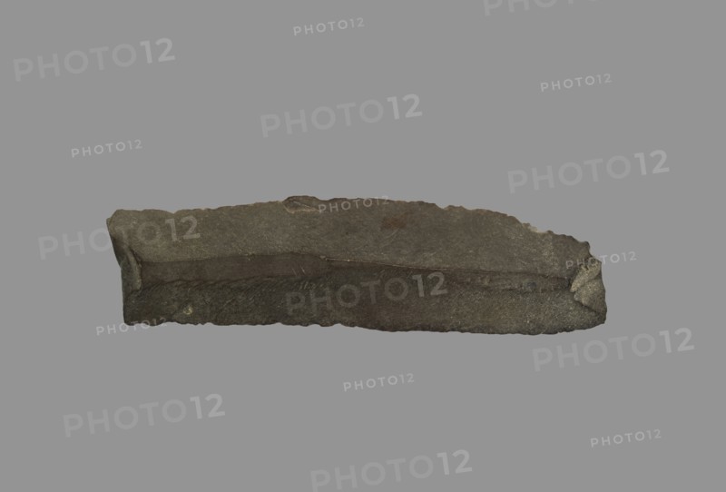 Sickle Blade, 1980-1801 BC. Egypt, Middle Kingdom, Dynasty 12. Flint; overall: 5 cm (1 15/16 in.).