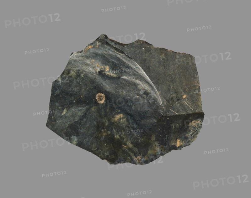 Sickle Blade, 1980-1801 BC. Egypt, Middle Kingdom, Dynasty 12. Flint; overall: 5 cm (1 15/16 in.).