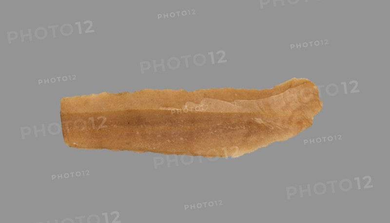 Sickle Blade, 1980-1801 BC. Egypt, Middle Kingdom, Dynasty 12. Flint; overall: 5 cm (1 15/16 in.).