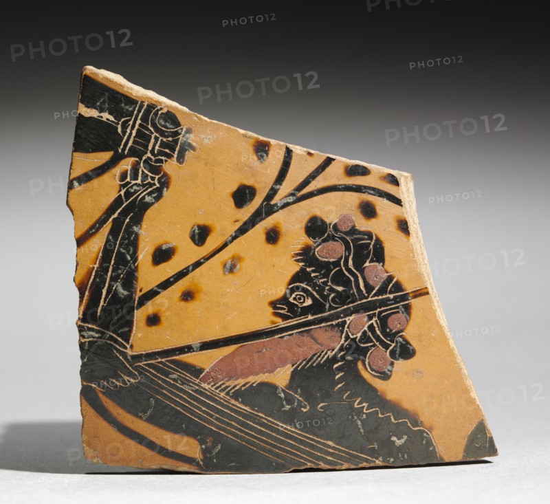 Fragment of a Painted Vase: Head of a Satyr, 520-510 BC. Greece, Necropolis of Ferentum (Viterbo), 6th century BC. Earthenware; overall: 0.9 cm (3/8 in.).