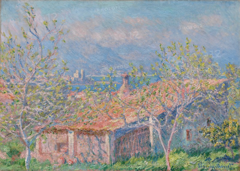 Gardener's House at Antibes, 1888. Claude Monet (French, 1840-1926). Oil on fabric; framed: 91.1 x 118.4 x 13.7 cm (35 7/8 x 46 5/8 x 5 3/8 in.); unframed: 66.3 x 93 cm (26 1/8 x 36 5/8 in.).