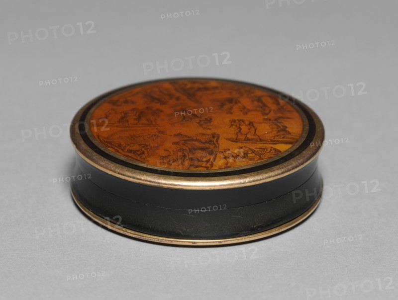 Snuff Box, late 1700s. Italy, late 18th century. Horn mounted in gold; overall: 2.3 x 7 cm (7/8 x 2 3/4 in.).