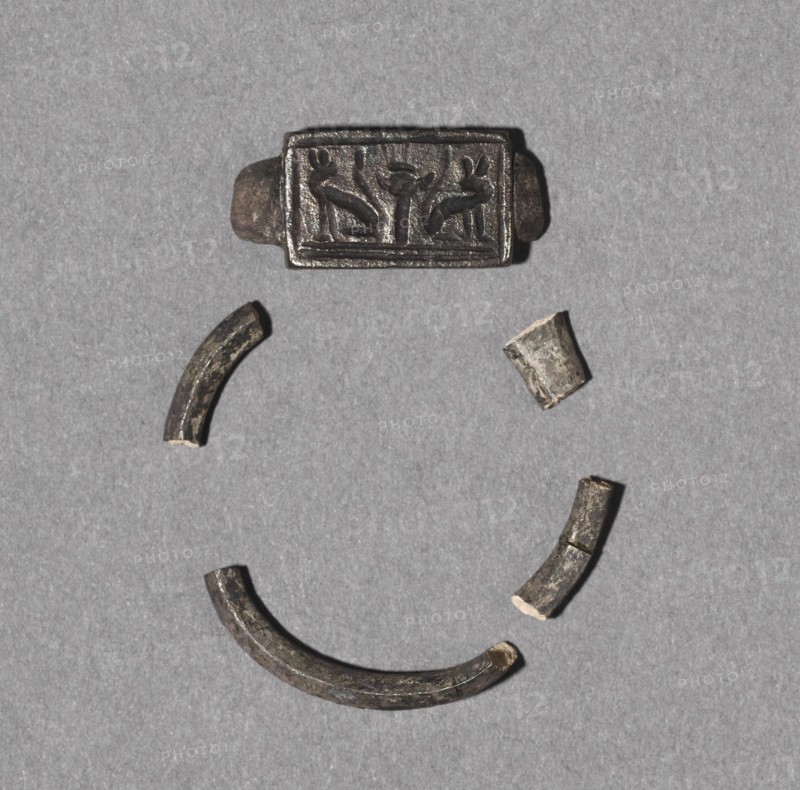 Finger Ring, 1069-715 BC. Egypt, Third Intermediate Period. Silver; diameter: 1.8 cm (11/16 in.); overall: 1.2 cm (1/2 in.).
