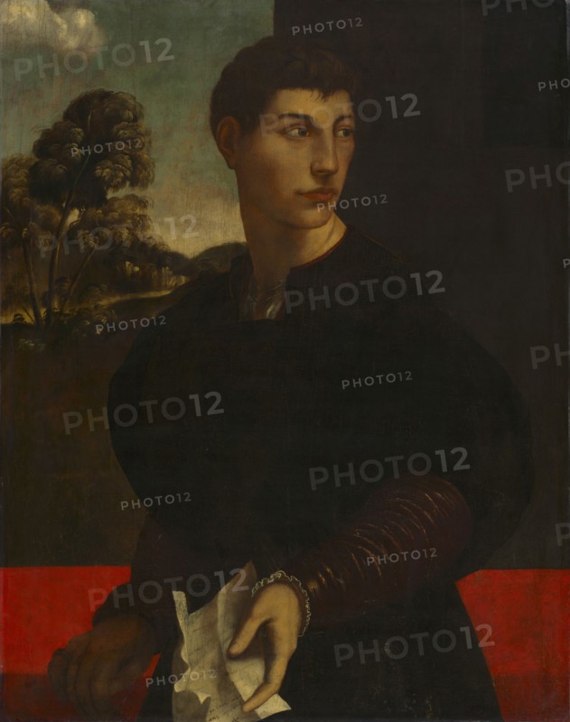 Portrait of a Young Man, c. 1530. Follower of Dosso Dossi (Italian, c. 1490-aft 1541). Oil and gold on wood; framed: 128.2 x 102.2 x 11.5 cm (50 1/2 x 40 1/4 x 4 1/2 in.); unframed: 97.2 x 77.5 cm (38 1/4 x 30 1/2 in.).
