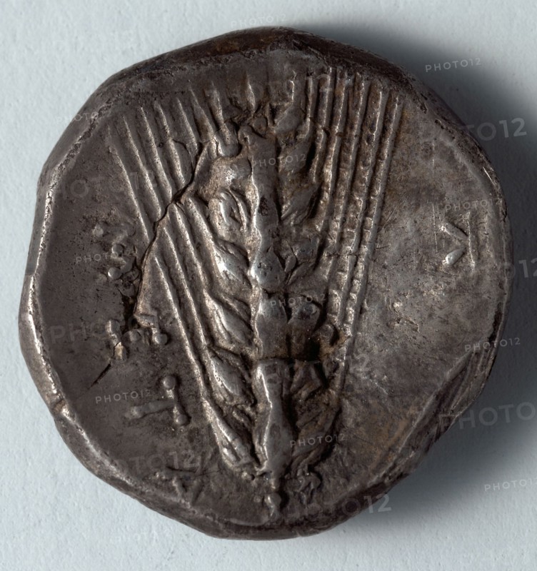 Stater: Ear of Corn  (reverse), 375-340 BC. Greece, Metapontum, 4th century BC. Silver; diameter: 2.1 cm (13/16 in.).