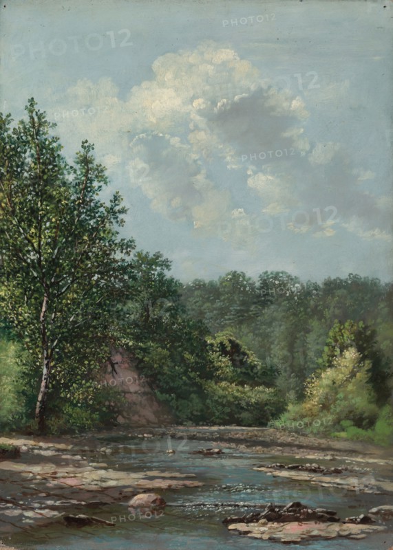 Landscape near Painesville. Allen Smith (American, 1810-1891). Oil on canvas; unframed: 47 x 31 cm (18 1/2 x 12 3/16 in.).