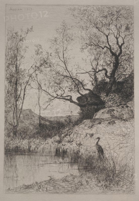 A Pond, 1867. Adolphe Appian (French, 1818-1898). Etching; secondary support: 40.5 x 32.7 cm (15 15/16 x 12 7/8 in.); plate: 31.9 x 24 cm (12 9/16 x 9 7/16 in.)