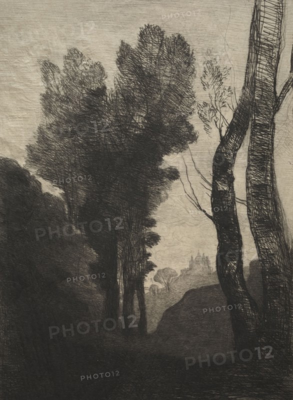 Environs of Rome, 1866. Jean Baptiste Camille Corot (French, 1796-1875), Cadart and Luquet. Etching; sheet: 36.8 x 27.6 cm (14 1/2 x 10 7/8 in.); platemark: 29 x 21.3 cm (11 7/16 x 8 3/8 in.)
