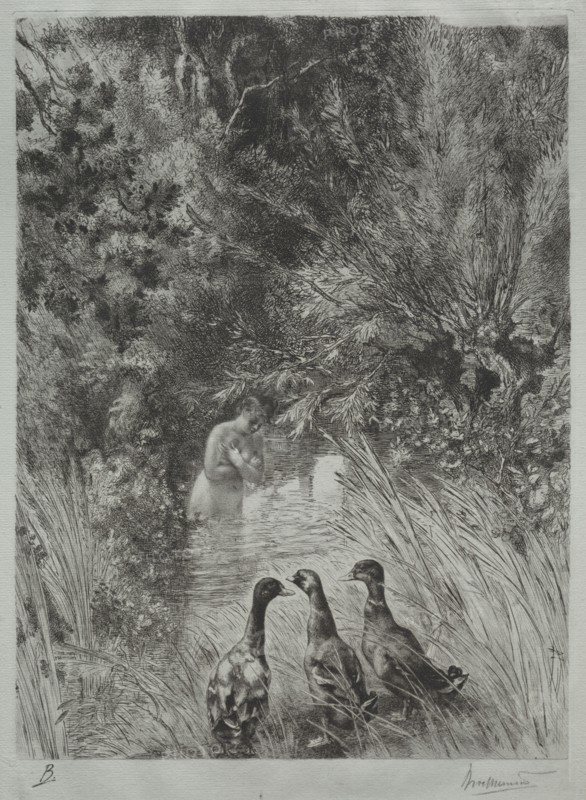 The Surprised Ducks. Félix Bracquemond (French, 1833-1914). Etching; sheet: 44.4 x 29 cm (17 1/2 x 11 7/16 in.); platemark: 37.6 x 26.7 cm (14 13/16 x 10 1/2 in.).