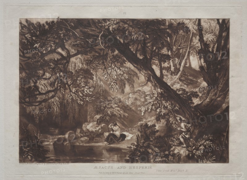 Liber Studiorum:  Aesacus and Hesperie. Joseph Mallord William Turner (British, 1775-1851). Etching and mezzotint