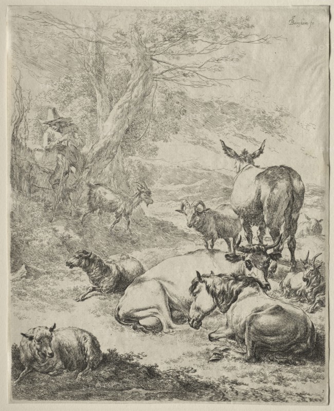Animals in Repose. Nicolaes Berchem (Dutch, 1620-1683). Etching