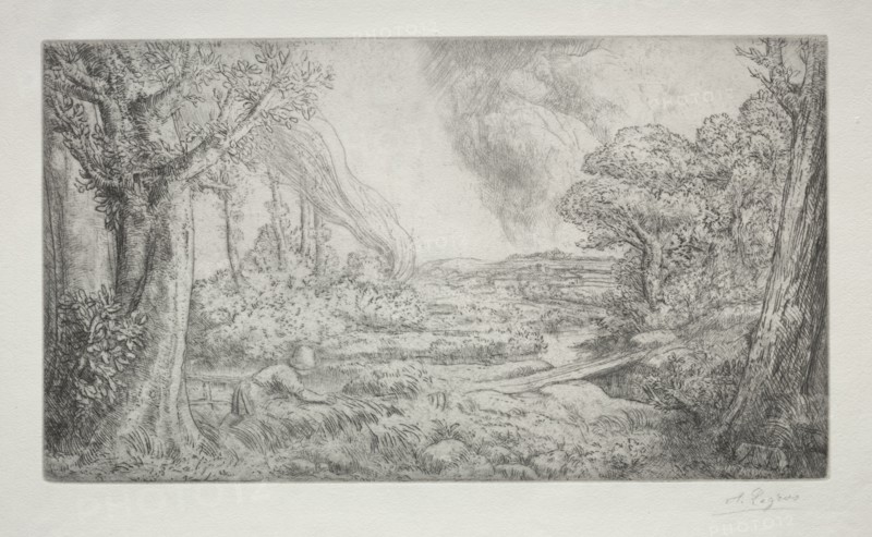 Landscape (Paysage). Alphonse Legros (French, 1837-1911). Etching