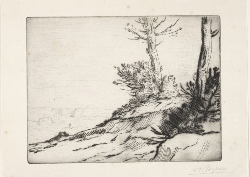 La butte aux broussailles. Alphonse Legros (French, 1837-1911). Etching