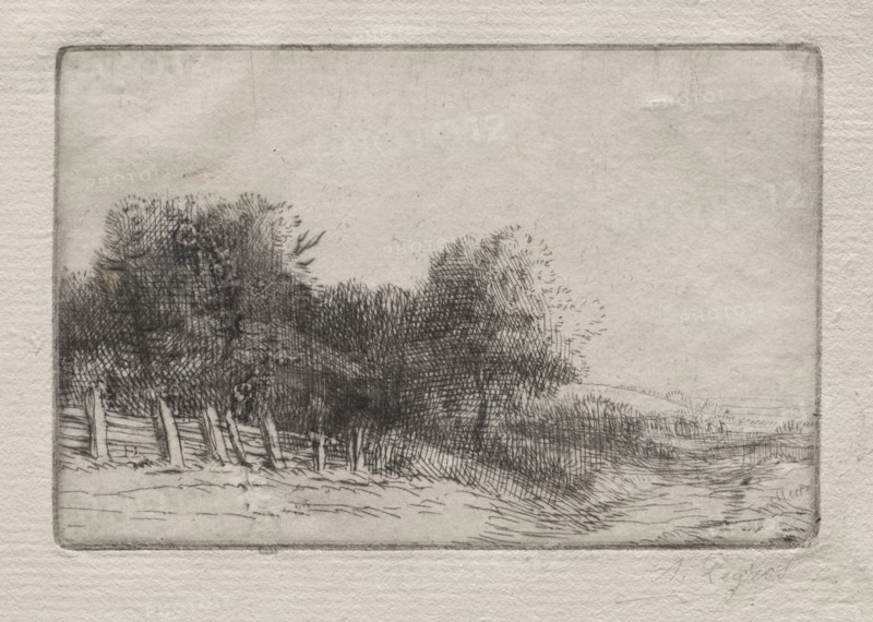 Landscape (Un Paysage). Alphonse Legros (French, 1837-1911). Etching