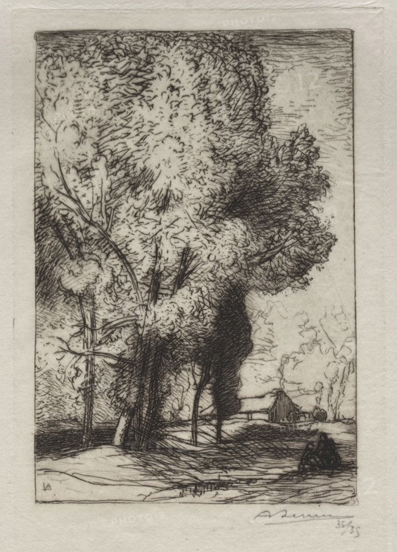 Bourrine dans les Peupliers, 1911. Auguste Louis Lepère (French, 1849-1918). Etching