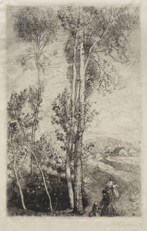 La Petite Mare, 1908. Auguste Louis Lepère (French, 1849-1918). Etching