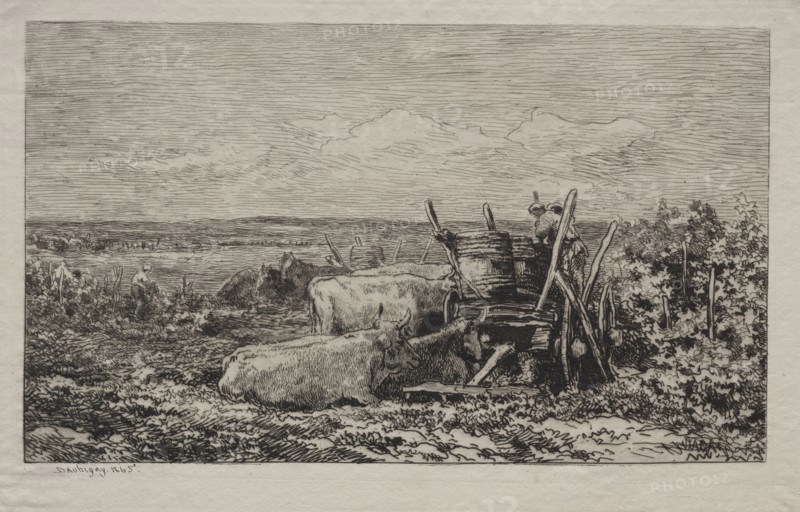 Published  L'Album of la Société des Aquafortistes in May, 1865.: The Grape Harvest, 1865. Charles François Daubigny (French, 1817-1878), Alfred Cadart. Etching and drypoint; sheet: 27.5 x 44.1 cm (10 13/16 x 17 3/8 in.); platemark: 23.7 x 36.6 cm (9 5/16 x 14 7/16 in.)