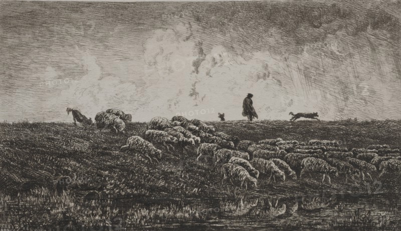 The Shower, c. 1851. Charles François Daubigny (French, 1817-1878). Etching; sheet: 27.5 x 38.3 cm (10 13/16 x 15 1/16 in.); platemark: 19.6 x 26.1 cm (7 11/16 x 10 1/4 in.)