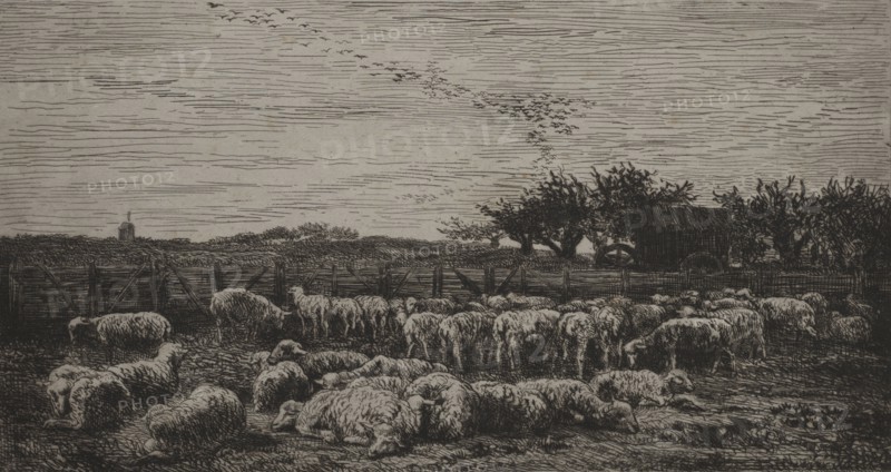 Published in l'Album de la Société des Aquafortistes, September 1862.: The Large Sheep-Fold, 1860. Charles François Daubigny (French, 1817-1878), Cadart. Etching; sheet: 28.1 x 44 cm (11 1/16 x 17 5/16 in.); platemark: 22.2 x 38.3 cm (8 3/4 x 15 1/16 in.).