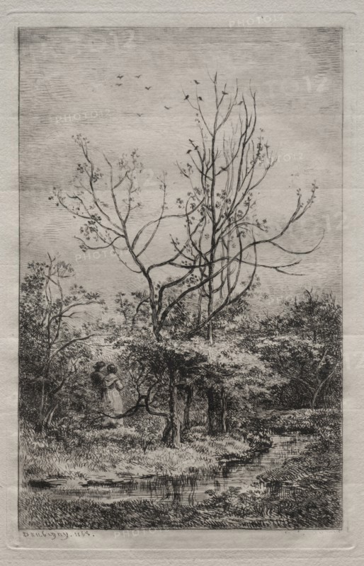 The Orchard, 1868. Charles François Daubigny (French, 1817-1878). Etching and drypoint; sheet: 35.3 x 25 cm (13 7/8 x 9 13/16 in.); platemark: 19.9 x 13 cm (7 13/16 x 5 1/8 in.)