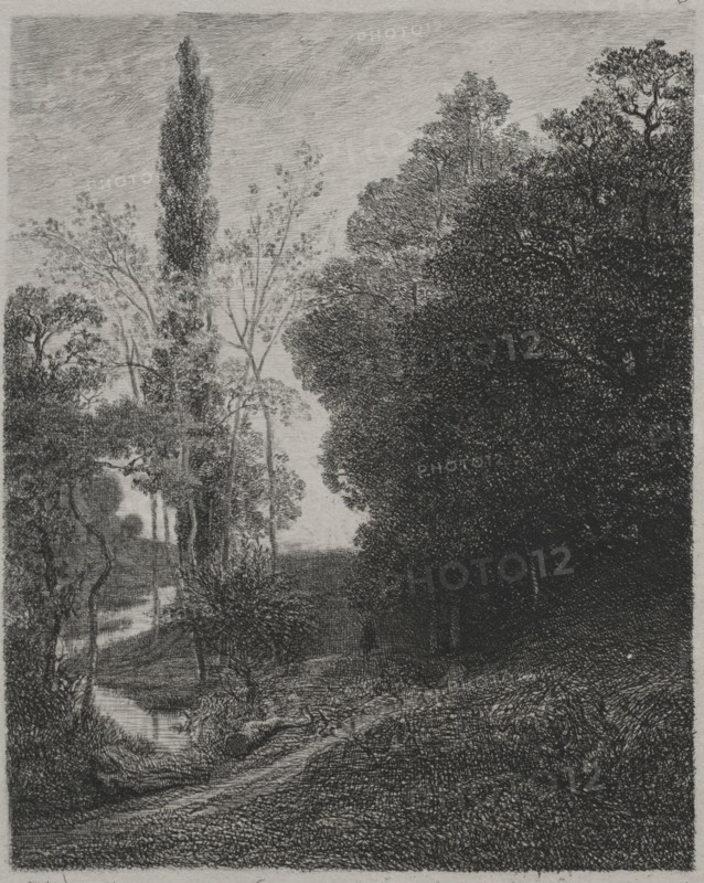 Banks of the River Cousin, 1850. Charles François Daubigny (French, 1817-1878), Auguste Delâtre. Etching; sheet: 30.1 x 23.6 cm (11 7/8 x 9 5/16 in.); platemark: 18.7 x 14.8 cm (7 3/8 x 5 13/16 in.)