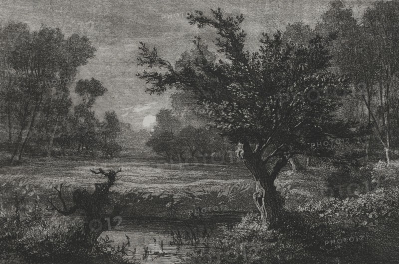 Moonrise in the Andilly Valley, 1845. Charles François Daubigny (French, 1817-1878). Etching, drypoint and roulette; sheet: 22.5 x 31.7 cm (8 7/8 x 12 1/2 in.); platemark: 14 x 17.9 cm (5 1/2 x 7 1/16 in.)