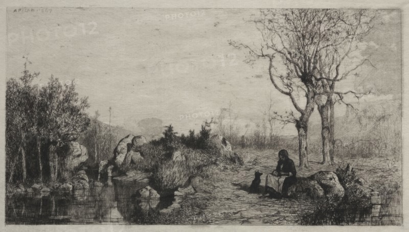 Shore of a Stream at Rossillon, 1867. Adolphe Appian (French, 1818-1898). Etching; sheet: 18.9 x 27.5 cm (7 7/16 x 10 13/16 in.); plate: 13.8 x 23.3 cm (5 7/16 x 9 3/16 in.)