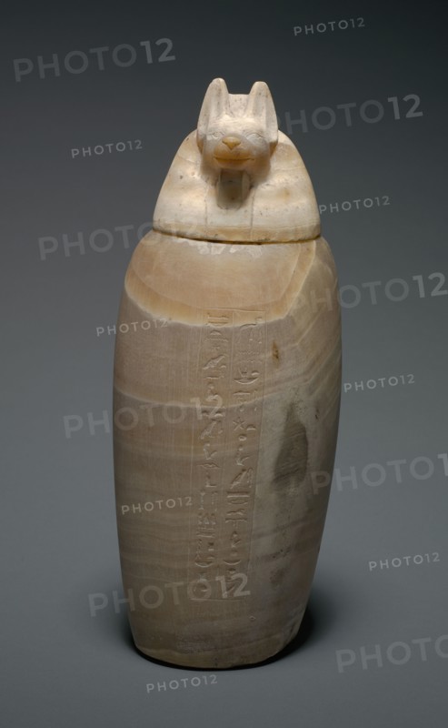 Canopic Jar with Jackal's Head, 664-525 BC. Egypt, Late Period, Dynasty 26. Travertine; diameter: 16.3 cm (6 7/16 in.); diameter of mouth: 9 cm (3 9/16 in.); overall: 42.6 cm (16 3/4 in.).