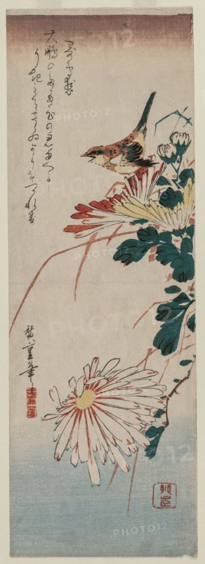 Warbler and Chrysanthemums, mid 1830s. Ando Hiroshige (Japanese, 1797-1858). Color woodblock print; overall: 38.2 x 12.8 cm (15 1/16 x 5 1/16 in.).