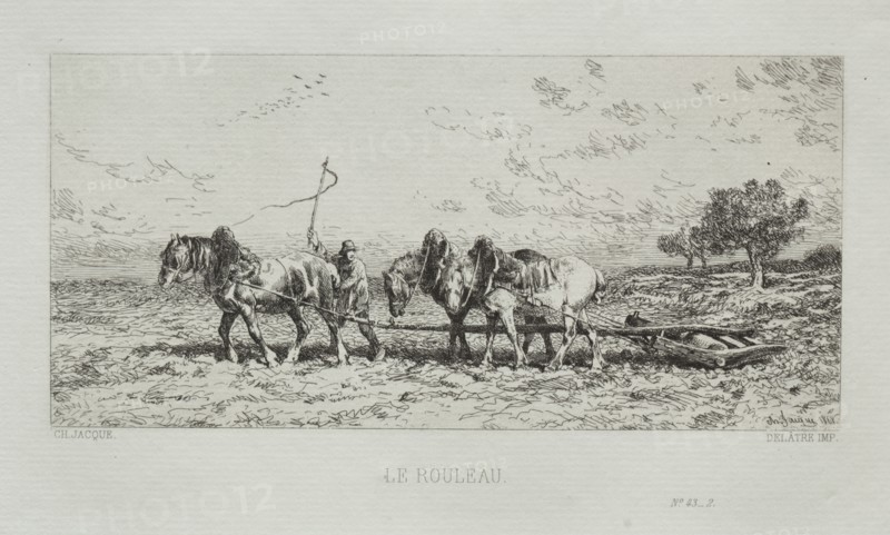 The Roller, 1868. Charles-Émile Jacque (French, 1813-1894). Etching