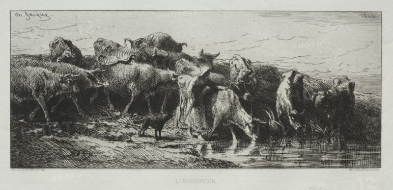 L'Abreuvoir, 1866. Charles-Émile Jacque (French, 1813-1894). Etching