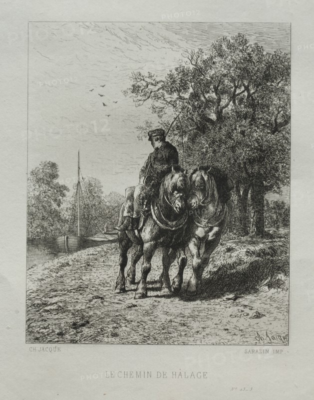 The Tow Path. Charles-Émile Jacque (French, 1813-1894). Etching