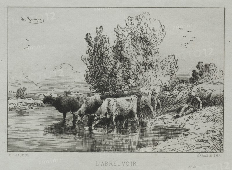 The Watering Place. Charles-Émile Jacque (French, 1813-1894). Etching