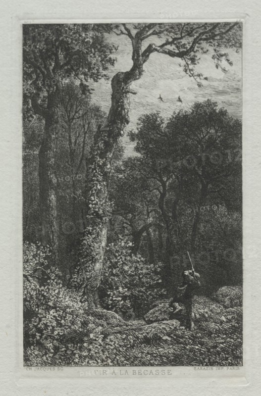 Shooting the Woodcock. Charles-Émile Jacque (French, 1813-1894). Etching