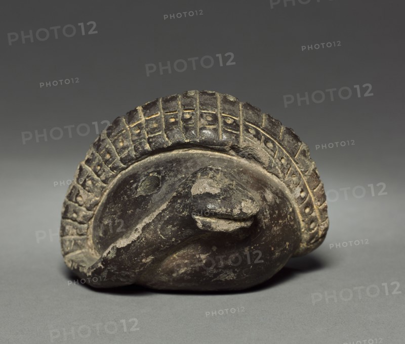 Coiled Snake, before 1921. Colombia. Pottery; diameter: 10.2 cm (4 in.); overall: 8.4 cm (3 5/16 in.).