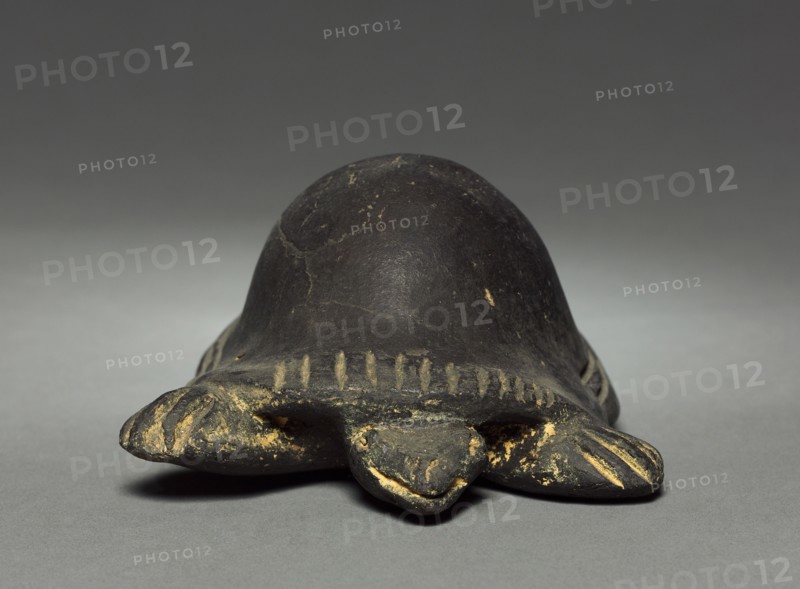 Turtle, before 1921. Colombia. Pottery; overall: 5.8 cm (2 5/16 in.).