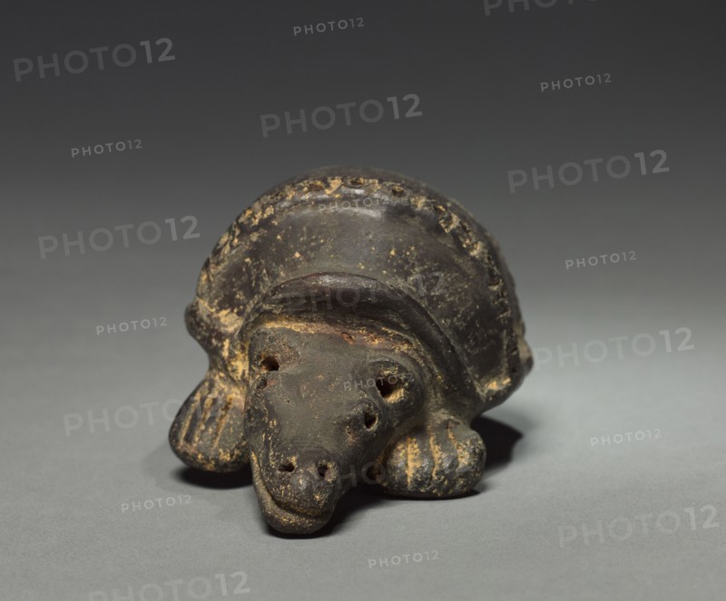 Armadillo, before 1921. Colombia. Pottery; overall: 6.4 cm (2 1/2 in.).
