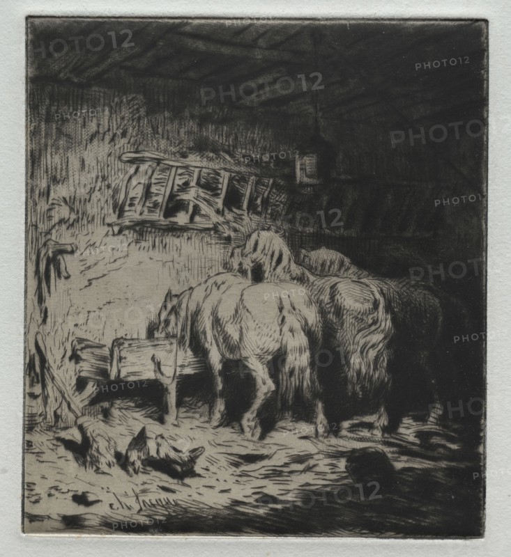 The Stable. Charles-Émile Jacque (French, 1813-1894). Etching
