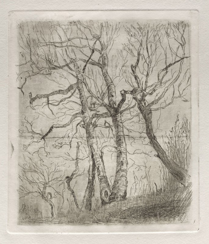 Trees, 1878. Otto H. Bacher (American, 1856-1909). Etching