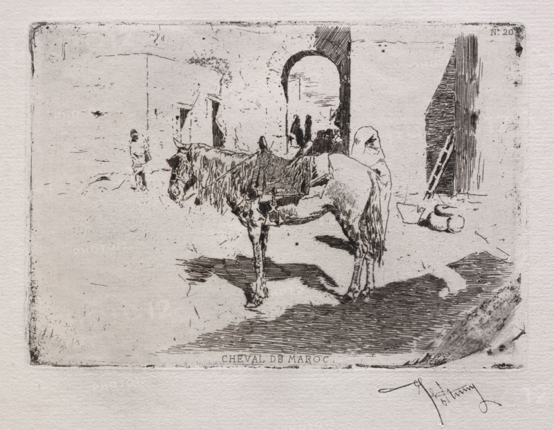Cheval du Maroc. Mariano Fortuny y Carbó (Spanish, 1838-1874). Etching
