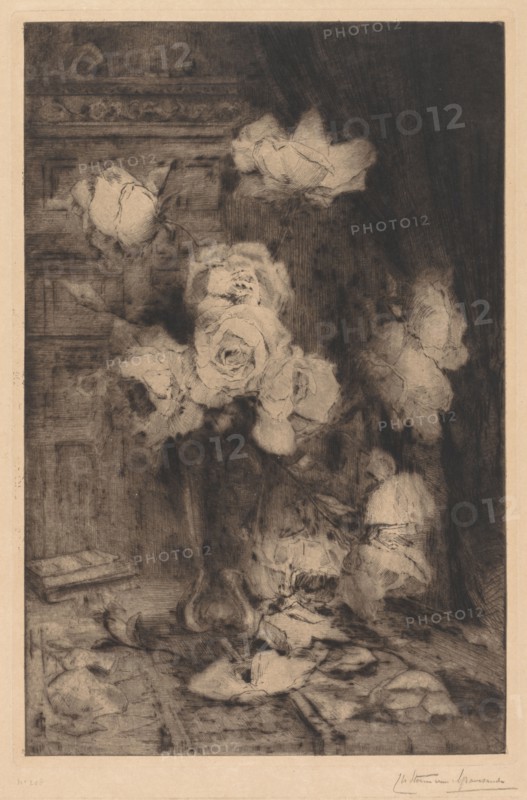 Study of Roses. Charles Nicolas Storm van 's-Gravesande (Dutch, 1841-1924). Etching