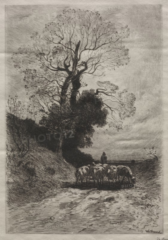 Return of the flock, c. 1870. Theophile Narcisse Chauvel (French, 1831-1909). Etching; sheet: 29.2 x 20.8 cm (11 1/2 x 8 3/16 in.); platemark: 23.7 x 16 cm (9 5/16 x 6 5/16 in.)