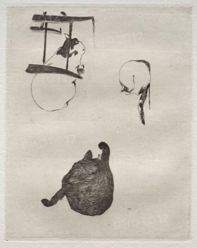 The Cats, 1868-1869. Edouard Manet (French, 1832-1883). Etching; sheet: 32.4 x 45.4 cm (12 3/4 x 17 7/8 in.); platemark: 17.3 x 21.5 cm (6 13/16 x 8 7/16 in.)